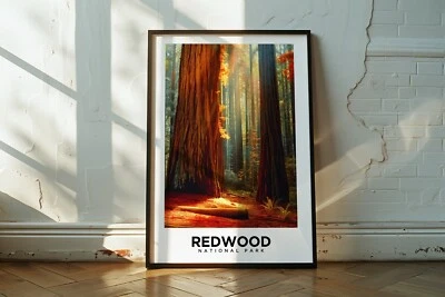 Redwood National Park - Travel Poster, Home Decor, California Destinations - Image 1 of 4