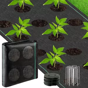 3Ftx50Ft Weed Barrier Landscape Fabric Heavy Duty with Planting Holes Weed Block - Picture 1 of 11