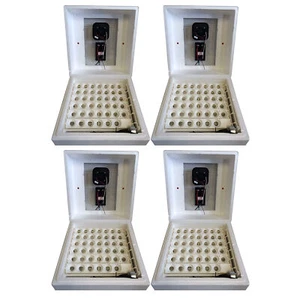 Farm Innovators 2450 Circulated Air Incubator w/ Auto Egg Turner, White (4 Pack) - Picture 1 of 8