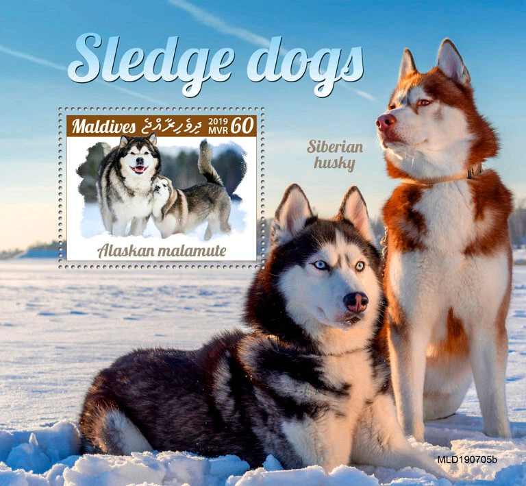 Maldives 2019 MNH Dogs Stamps Sledge Dogs Alaskan Malamute Siberian Husky 1v S/S - Image 1 of 1