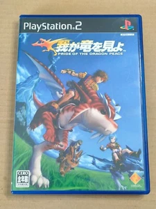 Pride of the Dragon Peace (2004) - PS2 Sony PlayStation 2 NTSC-J importación Japón - Imagen 1 de 9