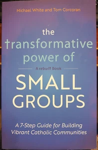 The Transformative Power of Small Groups: A 7-Step Guide for Building Vibrant Ca - Picture 1 of 2