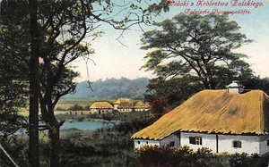 Widoki z Krolestwa Polskiego Polnische Bauerngehöfte Feldpostkarte AK 1916 - Bild 1 von 2