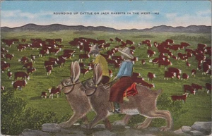 Leinen Postkarte USA Rounding Up Cattle on Jack Rabbits Western Szene - Bild 1 von 2