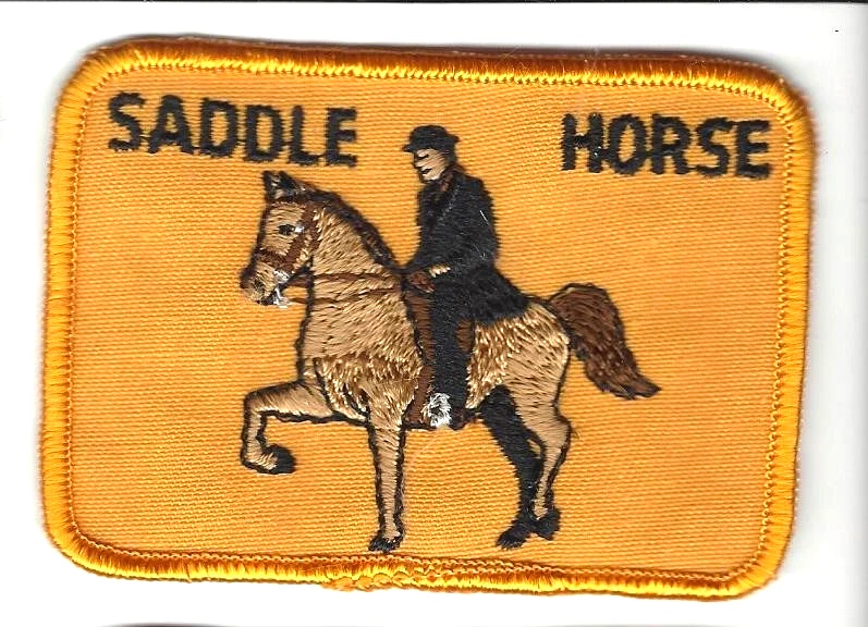 Saddle Horse Sew On Embroidered Patch 3.5 inch Vintage FFA 4-H Rodeo Farm Ranch - Image 1 of 1