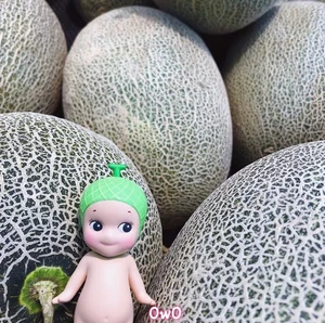 Authentic Sonny Angel Fruit Series New Version Hami Melon Mini Figure Toy🍈 - Picture 1 of 1