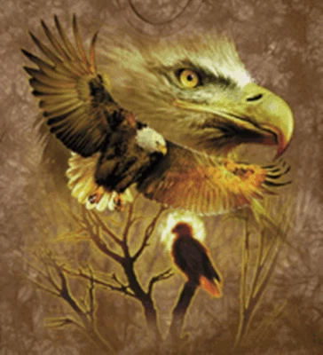 Camiseta American Eagle NOVA Adulto Azul Líquido Vintage Cinza Logotipo Etiqueta Camiseta - Imagem 1 de 4