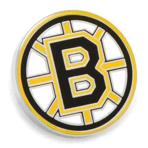 Boston Bruins Lapel Pin - Picture 1 of 4