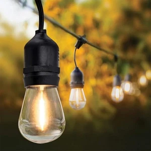 Feit Outdoor 48 Ft Electric Plug-in Heavy-Duty 24 LED String Light NOB Black - Picture 1 of 11