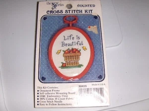 NEW The New Berlin Co. Counted Cross Stitch Kit - mini with frame - Life - Picture 1 of 2