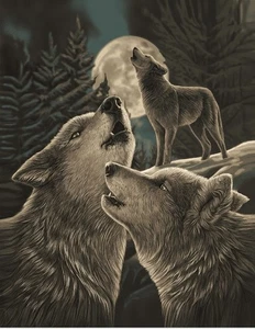 Plush Queen Size Wolf Blanket - Extremely Soft - Wolf Song - Picture 1 of 3