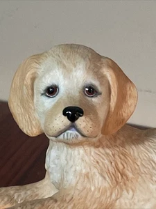 2003 Lenox Porcelain Golden Retriever Puppy Figurine - Picture 1 of 10