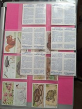 Brooke Bond A JOURNEY DOWN STREAM BOUBLE CARDS  1990 full set