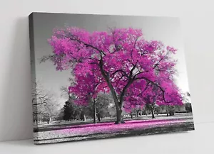 HEISSER ROSA BAUM SCHWARZ & WEISSER HINTERGRUND - GERAHMTER LEINWANDKUNST BILDDRUCK - Bild 1 von 2