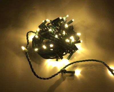 Kringle 5mm 50 Warm White LED Christmas Lights, Green Wire, 25ft - Image 1 of 4