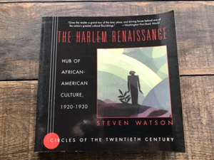 The Harlem Renaissance Steve Watson African American Culture 1920 - 1930 PB VGC - Picture 1 of 2