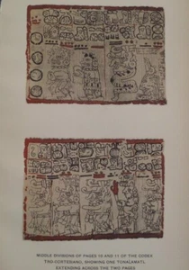 Codice Maya Madrid pagina 10-11 che mostra Tonalamatls mesoamericano 1915 - Foto 1 di 2