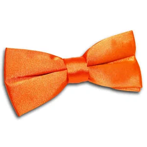 Burnt Orange Mens Bow Tie Satin Plain Solid Wedding Pre-Tied Bowtie by DQT - Picture 1 of 3