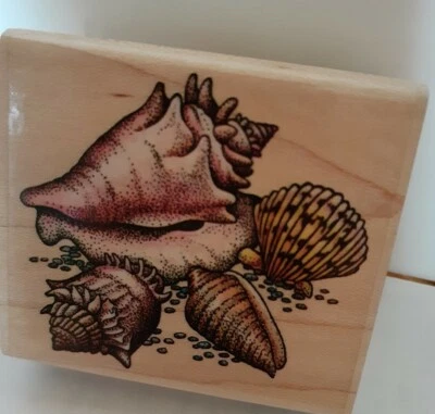 Резиновый штамп Stampede Seashells Collage Crown Conch Scallop Shell лето! - Изображение 1 из 2