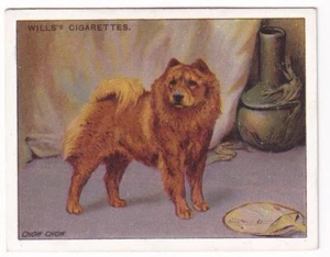 CHOW CHOW Vintage 1915 Dog Painting Card - Picture 1 of 2