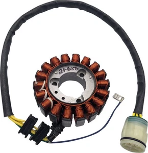 Ricks Motorsport Electric Stator 21-650 2112-1674 269529 rme21-650 - Bild 1 von 5