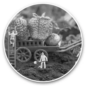 2 x Vinyl Aufkleber 20 cm (BW) - Erdbeere Bauer Landwirtschaft Männer #35227 - Bild 1 von 8