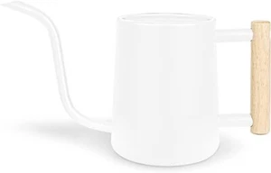 Indoor Plant Watering Can, 35 oz (1000 ml) Stainless Steel with Long Spout - Picture 1 of 25