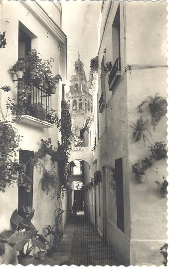 ANTIGUA POSTAL CORDOBA CALLEJA DE LAS FLORES OLD POSTCARD POSTKARTE      CC00443 - Imagen 1 de 1