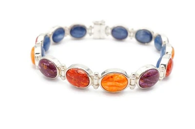 Двусторонний браслет Jay King DTR из стерлингового серебра 925 пробы с колючими устрицами кианитом 7,75 дюйма - Изображение 1 из 4