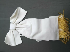 Cravatte Fanion blanc pour drapeau - Longueur cravatte : 25 cm 📌4a. - Picture 1 of 2