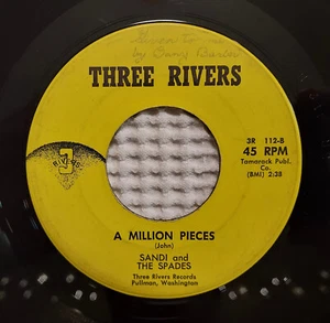 SANDI And The SPADES Million Pieces Orig THREE RIVERS Obscure Private Country 45 - Picture 1 of 1