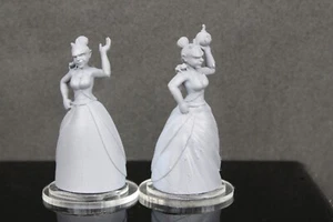 2 piezas Princesa con Rana Mini Jugador en Miniatura RPG Mesa Juegos Wargaming D&D - Imagen 1 de 5