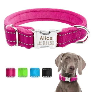 Small Large Personalized Dog Collar Custom Engraved Pet Name Cozy Fleece Padded - Picture 1 of 16