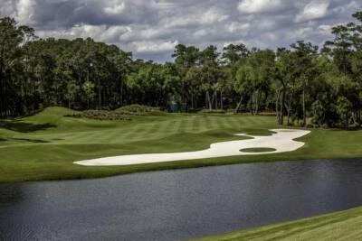 TPC Sawgrass Hole 12 1 Golf Course Imagekind Wall Art Poster - Image 1 of 4