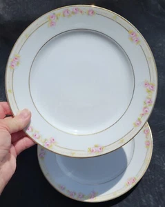 RARE! Vintage NORITAKE (Morimura) Japan "The Lorraine" 8-3/4" LUNCHEON PLATE 2PC - Picture 1 of 6