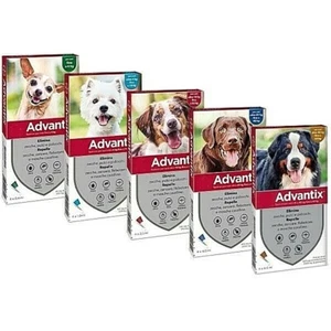 ELANCO ADVATIX DOG spot-on per cani da 10 a 25 kg. 4 x 2,5 ml - Foto 1 di 1