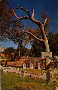 Postkarte Hangman's Tree Boot Hill Friedhof Dodge City Kansas Chrome unbesendet - Bild 1 von 3