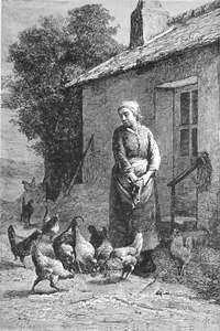 SCÈNE de CAMPAGNE- JEUNE FERMIÈRE DONNANT du GRAIN à ses POULES - Gravure 19e - Picture 1 of 2
