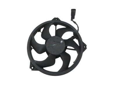 Ventola ventilatore per Radiatore Dx 460W Peugeot Expert II 2 1253Q8 - Immagine 1 di 4