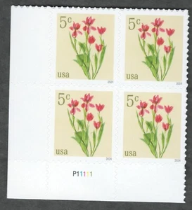 US. 5900. 5c. Red Tulips. PB4 #P11111 LL. MNH. 2024 - Picture 1 of 1