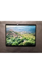 Microsoft Surface Pro X 13" Touch (128 SSD, Microsoft SQ1, 3.00 GHz, 8GB, 13”) - Picture 1 of 3