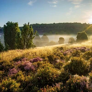 Wellness Urlaub Lüneburger Heide 2 Personen Schnäppchen 2 Tage 4* Hotelgutschein - Bild 1 von 12
