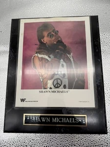 WWF SHAWN MICHAELS SIGNIERT 1994 8 X 10 P-212 PROMO FOTO PLAKETTE LINDA MCMAHON COA - Bild 1 von 8