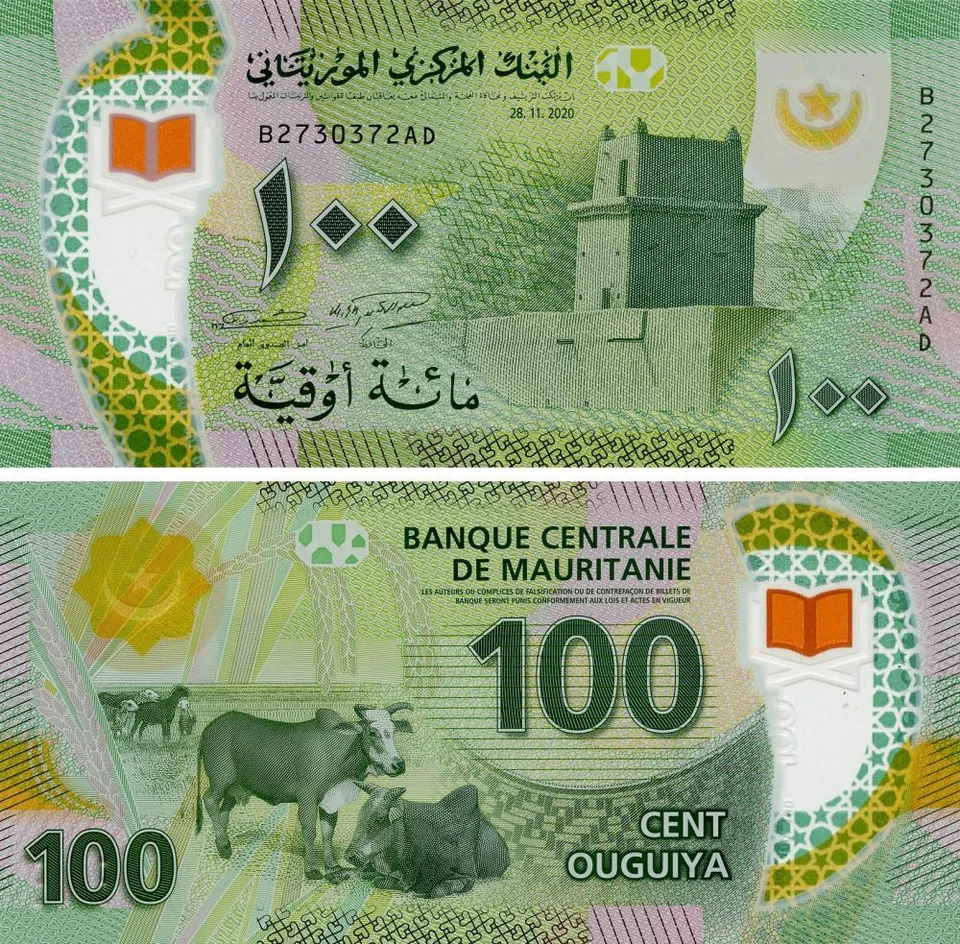 Mauritania 100 Ouguy 2020 (2023) Polymer UNC Cows (P23) - Image 1 of 1