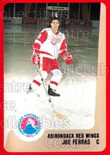 1988-89 ProCards AHL #24 Joe Ferras