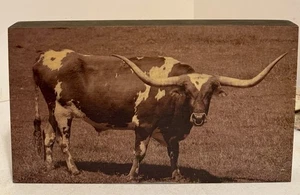 LONGHORN - FOTODRUCK auf Holzrahmen 8" x 14" von WALNUT HOLLOW - Bild 1 von 4