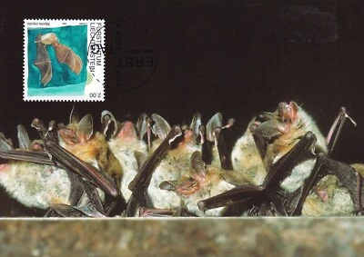LIECHENTSTEIN 2005 TWO FIRST DAY COVERS, BATS ON MAXI CARDS - Image 1 of 2