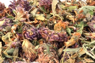 DGSTOREUK Dried Red Clover - Natural Pet Food & Treats - Tortoise Rabbit Degu Reptile