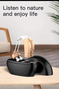 1 Pair Rechargeable Digital Hearing Aids In-Ear Invisible Sound Voice Amplifier - Picture 1 of 22
