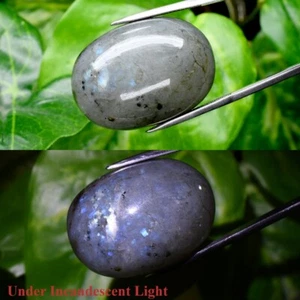 Huge! 80.53ct Oval Cabochon Natural Rainbow With Luster Labradorite Gemstone - Picture 1 of 6